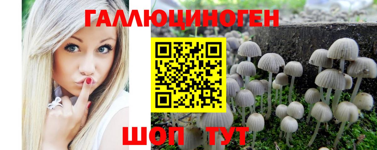 Кызыл  Галлюциногенные грибы Magic Shrooms  Вход с VPN 